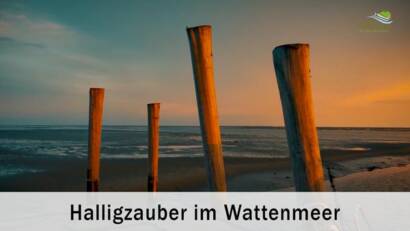 Halligzauber im Wattenmeer